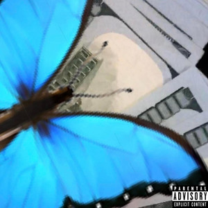 RACKS by STIZY