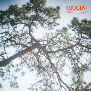 Origin by HAGA