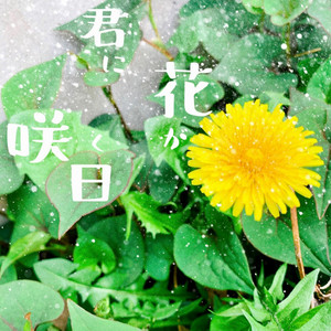 君に花が咲く日 by みさき