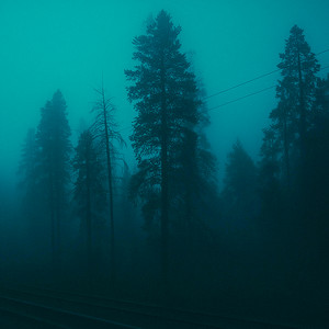 nothing felt the same by STAYFOREVER