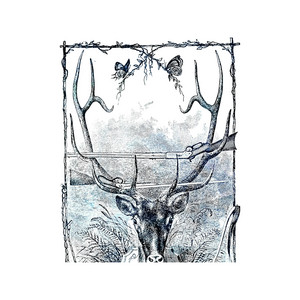 My Whole Rooms on Fire