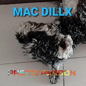 Pasito perron by Mac Dillx