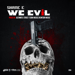 We Evil by Shane E
