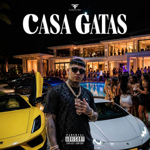 CASA GATAS by DJ REMIX 2