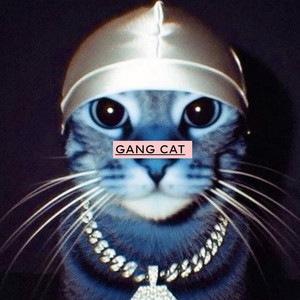 Gang Cat by Herreraprod