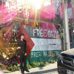 free palestine by neemo