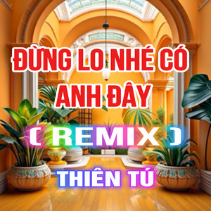 Đừng Lo Nhé Có Anh Đây (QV Remix)