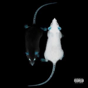 STRAAT RATJE - REMIX by Suilju, Adfbigga, Loopey