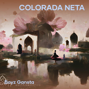 boyz gansta - Colorada Neta
