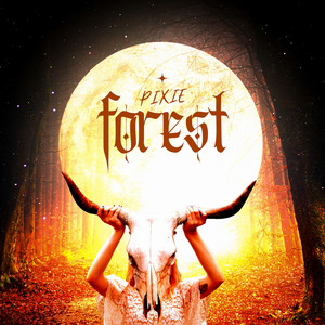 Forest by Pixie