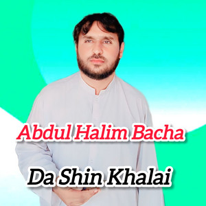 Abdul Halim Bacha - Da Shin Khalai