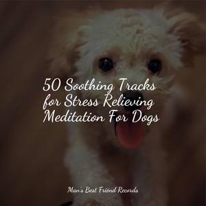 50 Soothing Tracks for Stress Relieving Meditation For Dogs album