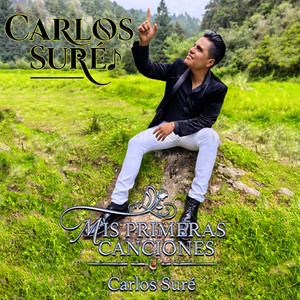 No Te Apartes De Mi album cover