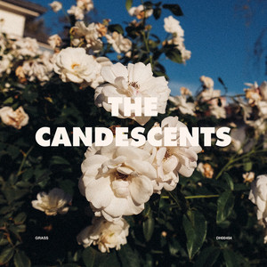 Grass by The Candescents