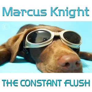 Portada de The Constant Flush