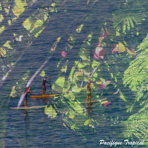 Pacifique Tropical