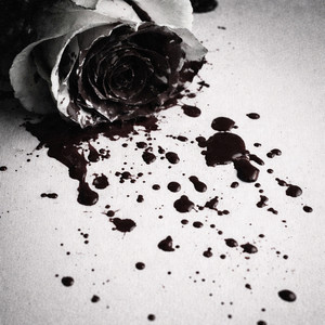 Killing Me Softly With His Song by Levi Hart