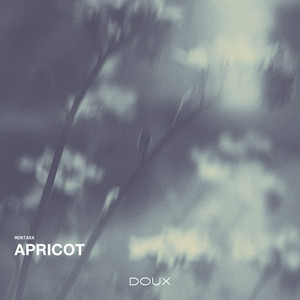 Apricot by Montara