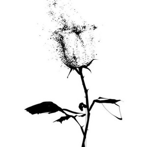 Dead Butterflies - embers