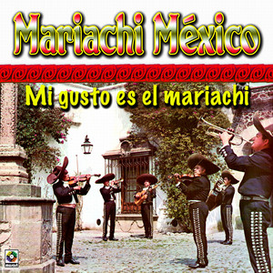 Mi Gusto Es El Mariachi album