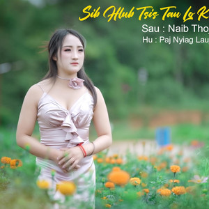 MA1V - Sib Hlub Tsis Tau Lo Koom Ib Cuab (feat. Paj Nyiag Lauj)