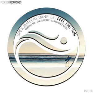 Feel The Sun - 17 Branches Remix by SpexJam, Danielle, 17 Branches