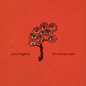 Den rätta känslan by Jonas Teglund