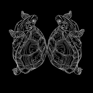 The David Gene - Symmetry