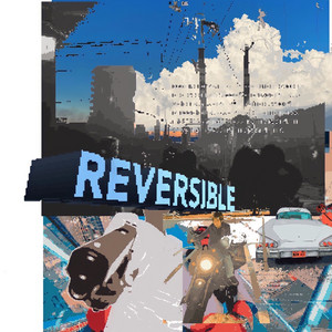 Reversible by SIBLUE