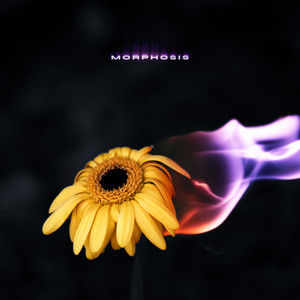 Morphosis by Toxxi