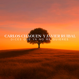 Dices Que Ya No Me Quieres by Carlos Chaouen, Javier Ruibal