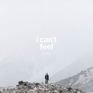 I Can't Feel