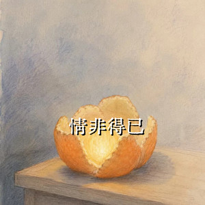 情非得已 - DJ版 by 林诗曼