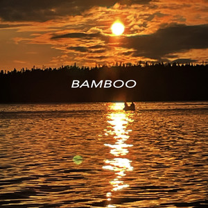 Bamboo by TrackLab