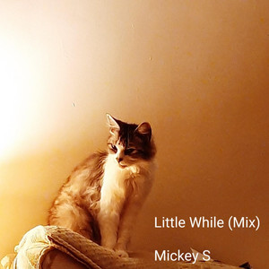 Little While (Mix) by Mickey S