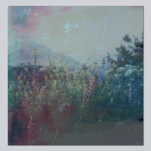 Pastell by Witte