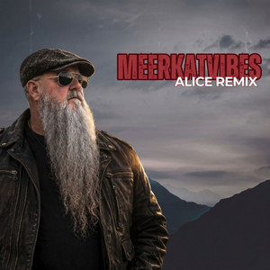 WHO IS ALICE - Special by Meerkat Vibes