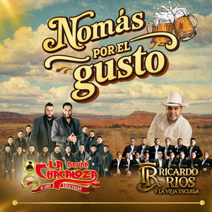 Nomás Por El Gusto cover
