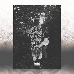 Portada de Fever