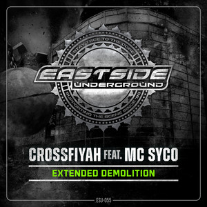 Bring the Madness by Crossfiyah, Mc Syco