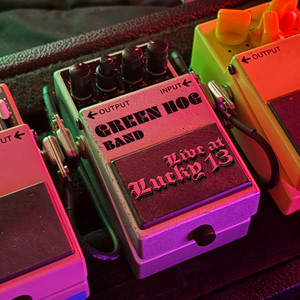 Snake Mistress by Green Hog Band