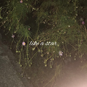 Like a star by Stain hung over