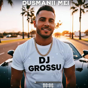 DJ GROSSU - Dusmanii mei