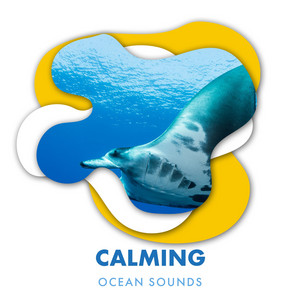 Calming Ocean Sounds Compilation album