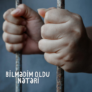 Mehman Salyanli - Bilmədim Nətər Oldu