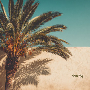 Purify by raymare