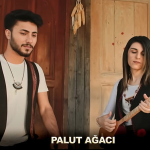 Palut Ağacı (feat. Gonca Coşkun)