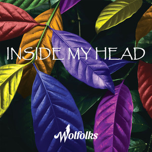 Wolfolks - Learn To Drive