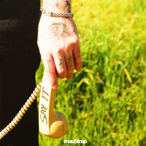 Low Mileage — Say It (2026)