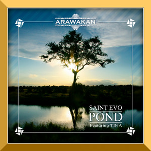 Pond cover art